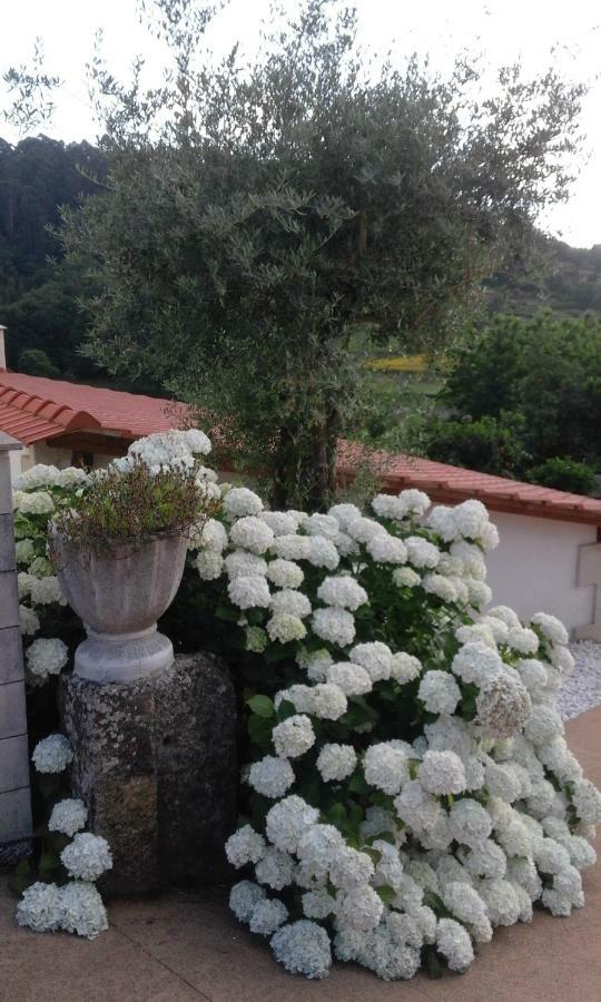 Casa Freitas Villa Paredes de Coura Esterno foto