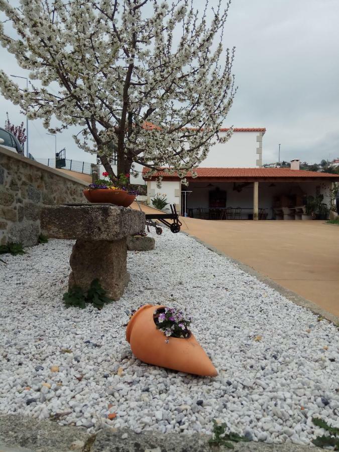 Casa Freitas Villa Paredes de Coura Esterno foto